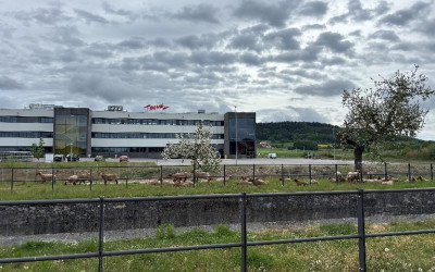 AusflugBerching1