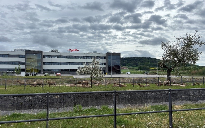 AusflugBerching1