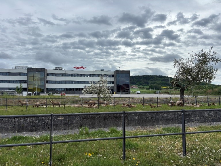 AusflugBerching1