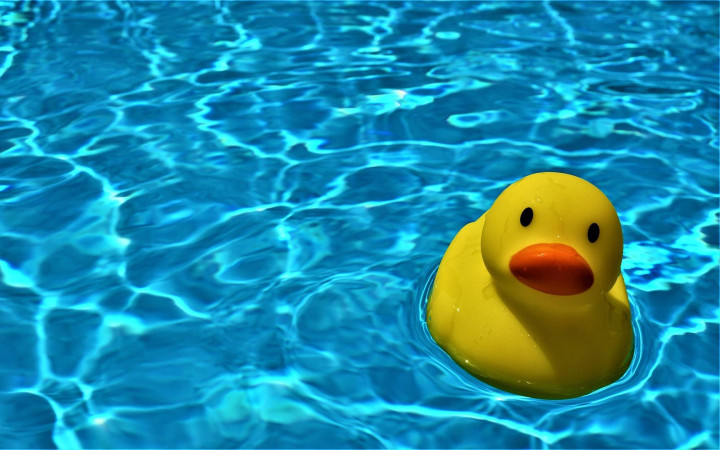 K1600 Schwimmkurs Titel