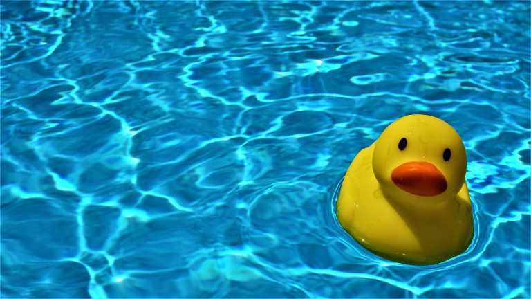 K1600 Schwimmkurs Titel